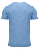 Threadfast Apparel Unisex Triblend T-Shirt