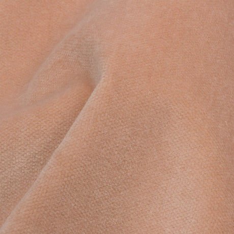 Rosewater Cotton Velvet
