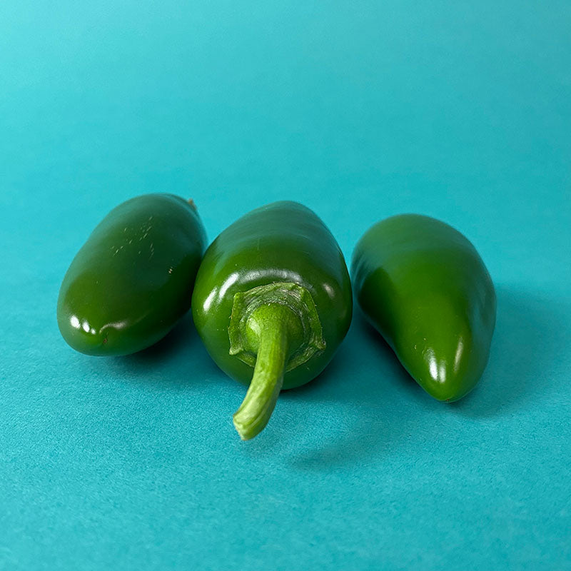 Pepper Dante F1 Seed