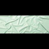 Neon Mint Velvet with Imitation Dupioni Backing