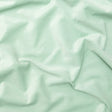 Neon Mint Velvet with Imitation Dupioni Backing