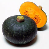 Squash Sweet Mama F1 Seed