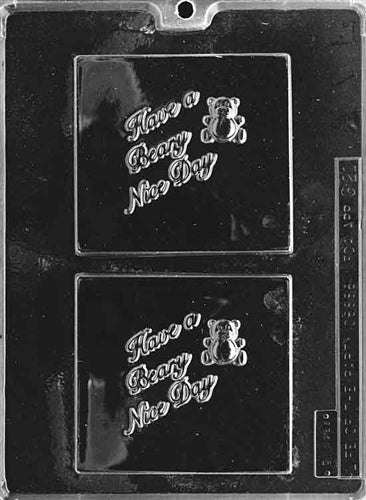 Have A Beary Nice Day Chocolate Gift Card Mold