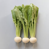 Turnip Tokyo Silky Sweet F1 Seed