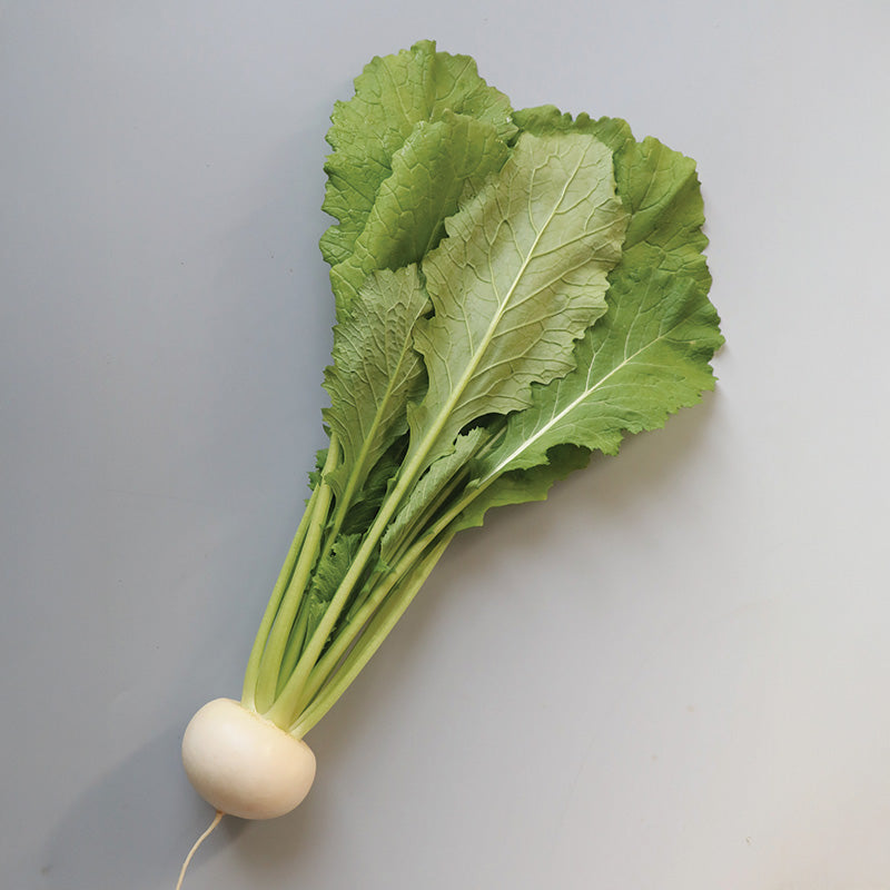 Turnip Tokyo Silky Sweet F1 Seed