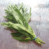 Sage Fanni Organic Seed