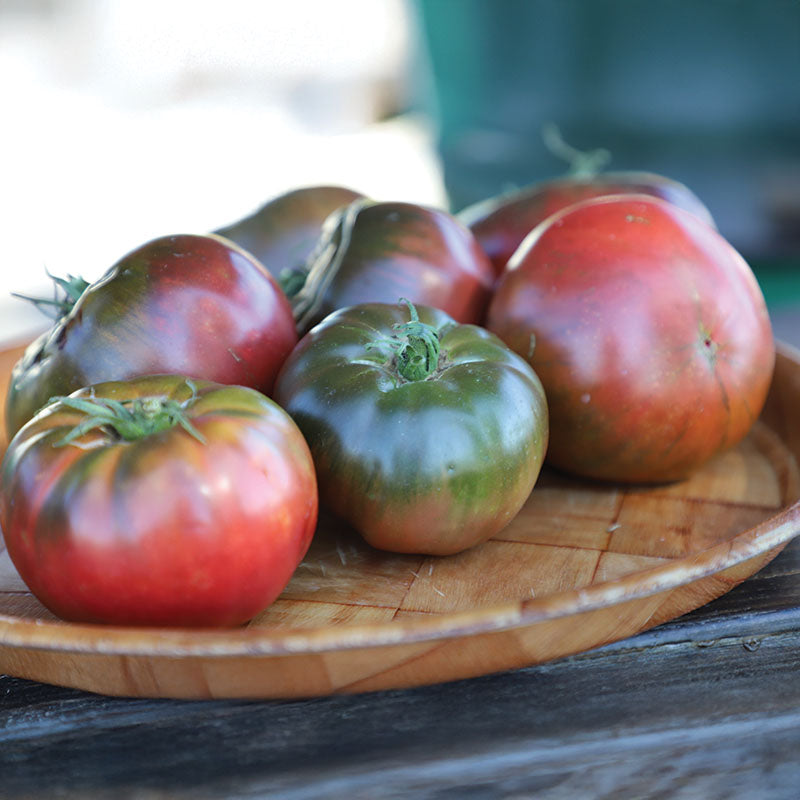 Tomato Medusa F1 Organic Seed