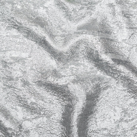 Metallic Matte Silver Abstract Luxury Brocade