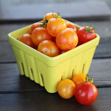 Tomato Tropical Sunset Organic Seed