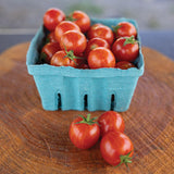 Tomato Sparky XSL F1 Seed