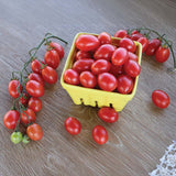 Tomato Pink Champagne Organic Seed