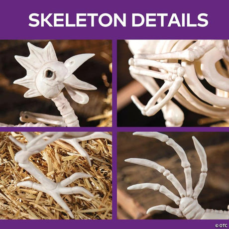 Rooster Skeleton Halloween Tabletop Decoration for Fall Display, showing a detailed skeletal bone design