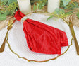 Velvet Dinner Napkins 20x20 Red