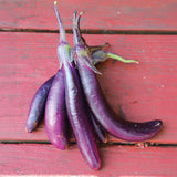 Eggplant Violet Delite F1 Seed