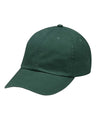 Optimum II True Color Dad Hat