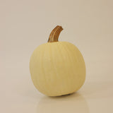 Pumpkin Snowdrop F1 Seed
