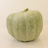 Pumpkin Blue Ice F1 Seed