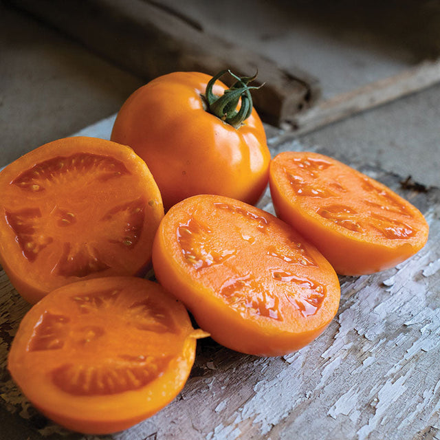 Tomato Bendida F1 Seed
