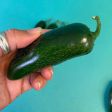Pepper Black Magic F1 Organic Seed