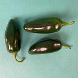 Pepper Black Magic F1 Organic Seed