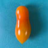 Tomato Sun Dipper F1 Seed