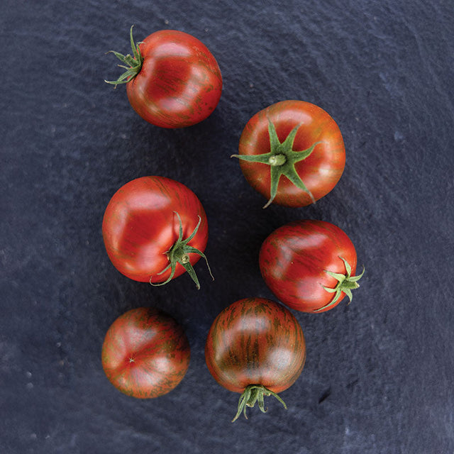 Tomato Purple Zebra F1 Seed