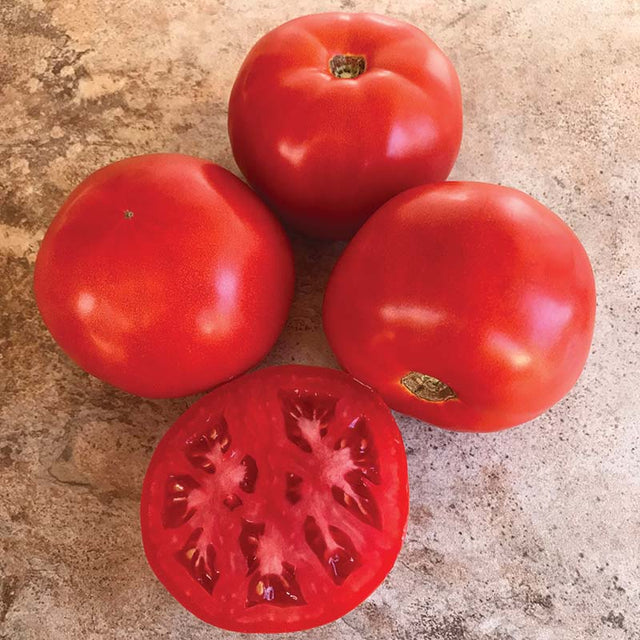 Tomato STM 2255 F1 Seed