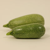 Squash Mexicana F1 Organic Seed