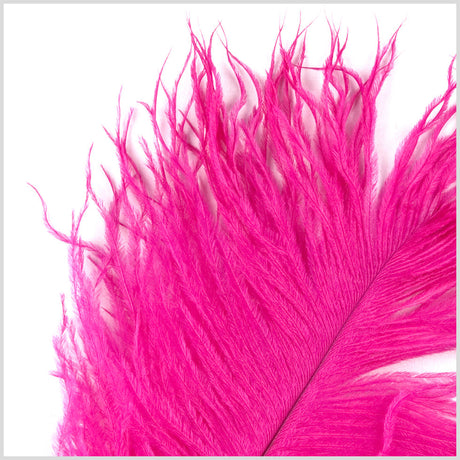 Hot Pink Ostrich Feather - 10"-12"