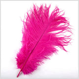 Hot Pink Ostrich Feather - 10"-12"
