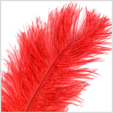 Red Ostrich Feather - 10"-12"
