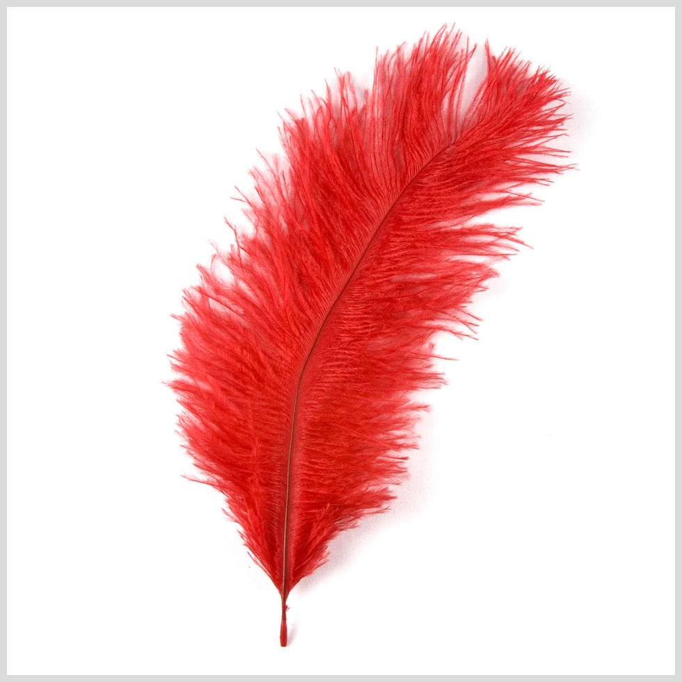 Red Ostrich Feather - 10"-12"