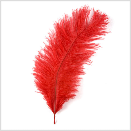 Red Ostrich Feather - 10"-12"