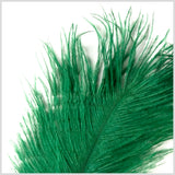 Emerald Ostrich Feather - 10"-12"
