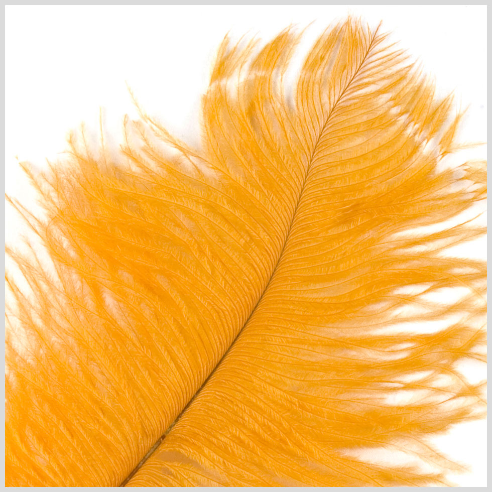 Gold Ostrich Feather - 10"-12"