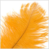 Gold Ostrich Feather - 10"-12"
