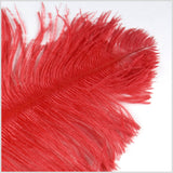 18"-21" Red Ostrich Feather