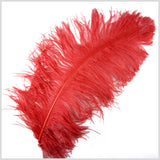 18"-21" Red Ostrich Feather