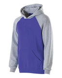 Youth Cotton/Poly Fleece Banner Hooded Sweatshirt
