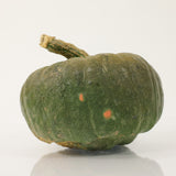 Pumpkin Troll F1 Seed