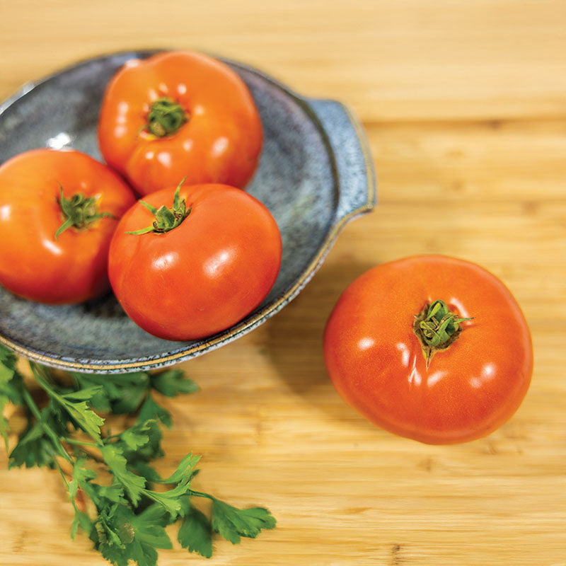 Tomato Maverick F1 Seed
