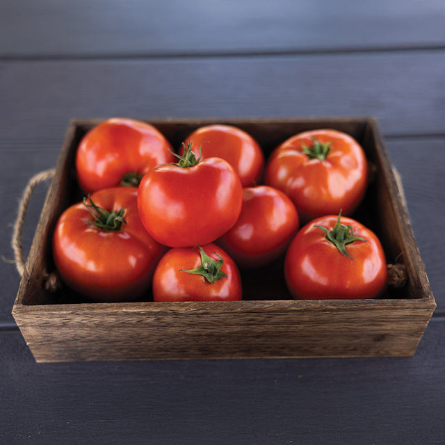 Tomato Rambler F1 Seed