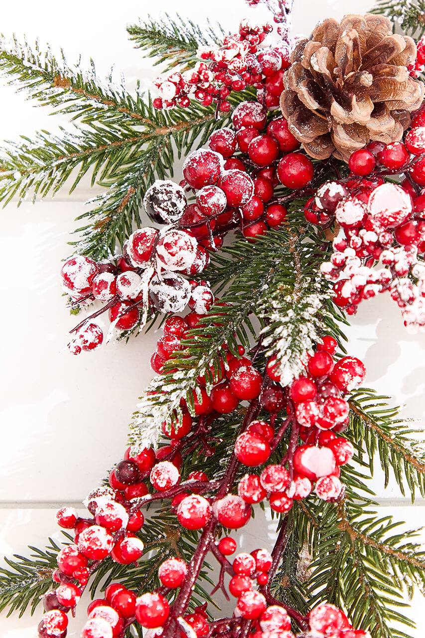 5.5' Flocked Pine and Red Berry Garland