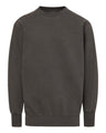 Men's Coastal Color Crewneck Sweatshirt