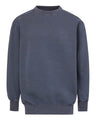 Men's Coastal Color Crewneck Sweatshirt