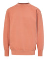Men's Coastal Color Crewneck Sweatshirt