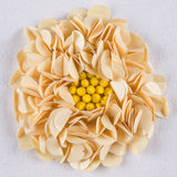 Cream Sequin Applique