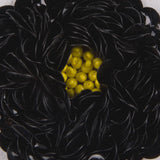 Sequin Applique