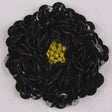 Sequin Applique