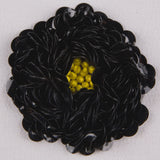 Sequin Applique
